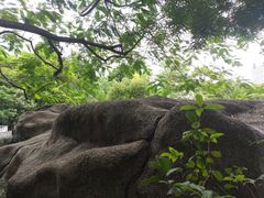 -深圳国际园林花卉博览园