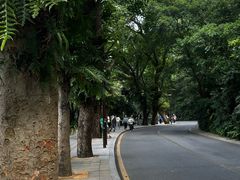 -深圳仙湖植物园