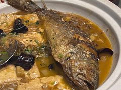 -金掌勺·锅包肉(广渠门店)