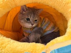 -联合动物医院(光谷诊疗中心)