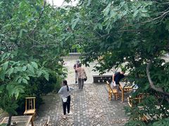 -泰山风景名胜区-普照寺