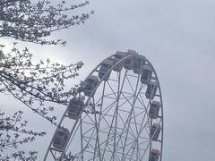 -顾村公园