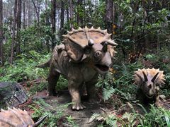 -森波拉奇妙世界