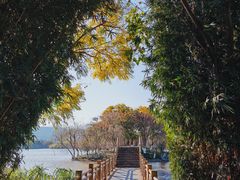 -西昌邛海湿地