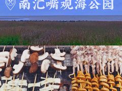 -南汇嘴观海公园