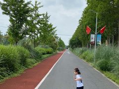 -上海长兴岛郊野公园