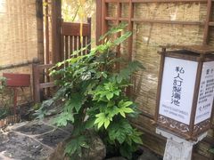 -西安国际创新人才交流中心•药浴温泉