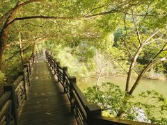 -白马涧龙池景区