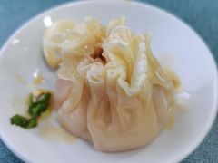 羊肉烧麦-北三沙家烧麦(北头道街店)