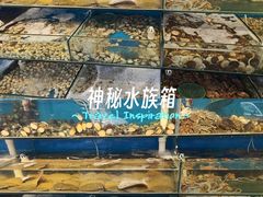 -仙螺岛海鲜自助餐厅(总店)