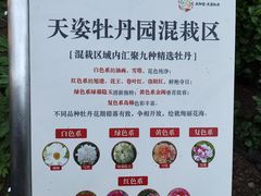 -太阳宫公园