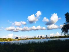 -长春市南湖公园