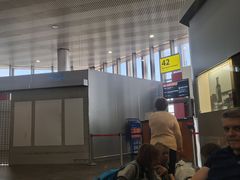 -谢列梅捷沃国际机场