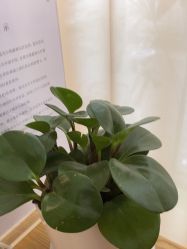 -森林头疗美容养发馆