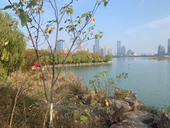 -天鹅湖体育公园