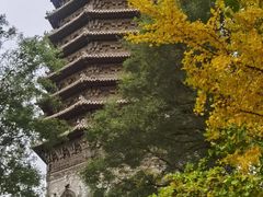 -玲珑塔公园