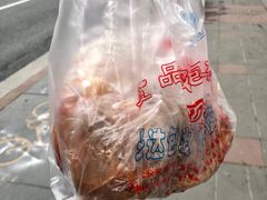 -邓氏兔头