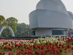 -上海鲜花港