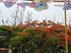 -一寨两国风景区