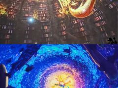 -海合安青岛极地海洋公园