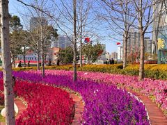 -北外滩滨江绿地