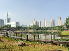 -映月湖公园