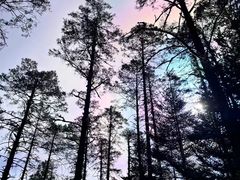 -玉龙雪山蓝月谷