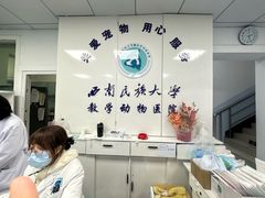 -成都民大动物医院