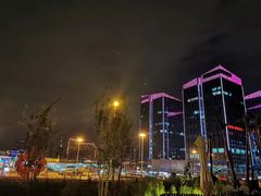 -北京云瑧金陵莲花酒店·莲·川小馆