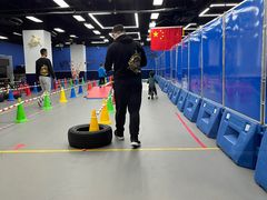 -八爪矩阵极限运动馆·儿童平衡车·感统训练(南海子公园校区)