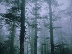 -瓦屋山景区