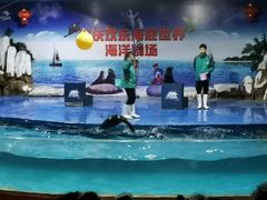 -重庆欢乐海底世界