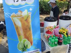 -东莞植物园