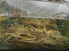 -蟹之国·精品蟹料理(极地店)