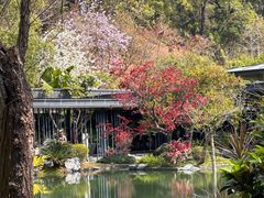 -云溪植物园