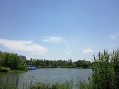 -上海长兴岛郊野公园