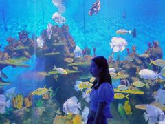 -石林冰雪海洋世界