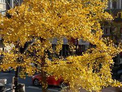 -胖哥俩肉蟹煲(杭州下沙学林街店)