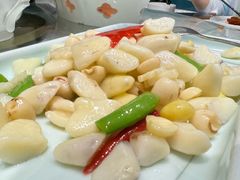 -丁老爷子苏香圆