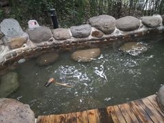-苏州环秀晓筑养生度假村