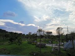 -王借岗森林公园