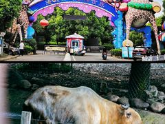 -常州淹城野生动物世界
