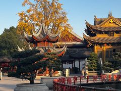 -上海东林寺(金山区)