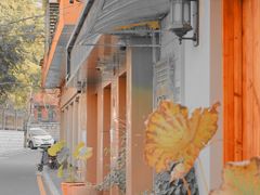 -溪岸路花鸟市场