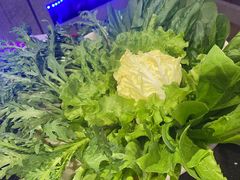 -唇辣号重庆老火锅(燕郊鑫乐汇店)