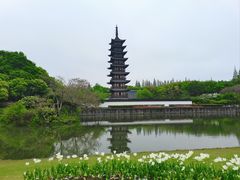-上海方塔园
