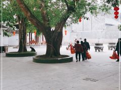 -悦城龙母祖庙