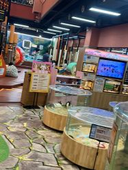 -卡通尼·Safari非洲探索乐园·生日会(金桥国际商业广场店)