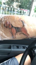 -李轩纹身LEE TATTOO