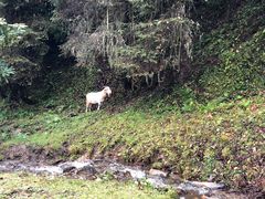-硗碛藏寨·神木垒景区